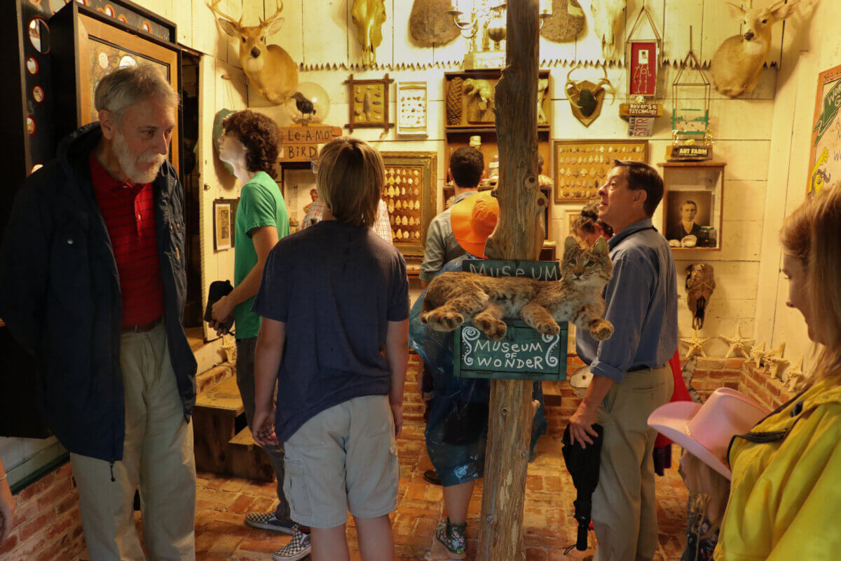 Inside Alabama Artist Butch Anthony's "Museum of Wonder" - 7 A group of people stand inside the Museum of Wonder, surrounded by animal mounts, quirky artifacts, and a taxidermy bobcat on a signβshowcasing Butch Anthony's unique collection.
