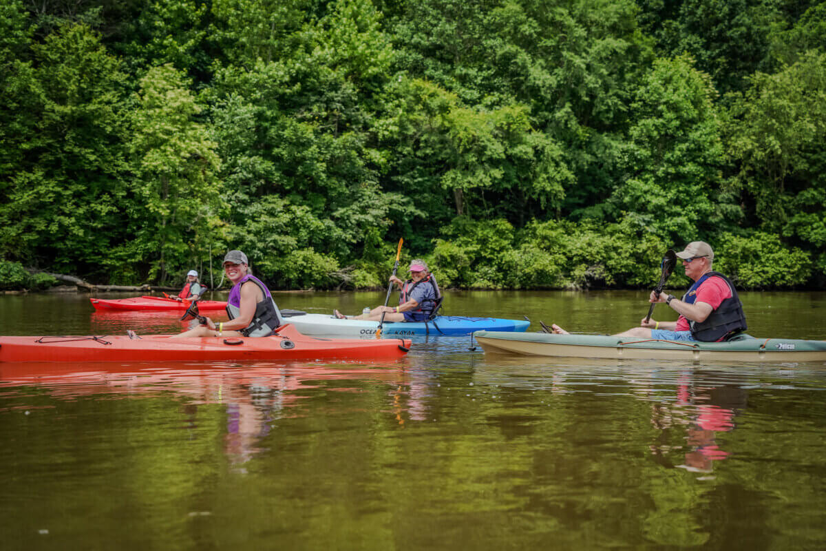 Great Southern Outdoors: Destinations for Active Travelers - 6 Four people in kayaks paddle on a calm river, surrounded by dense green trees under an overcast skyβan ideal scene for active travelers seeking unforgettable experiences in the Great Southern Outdoors.
