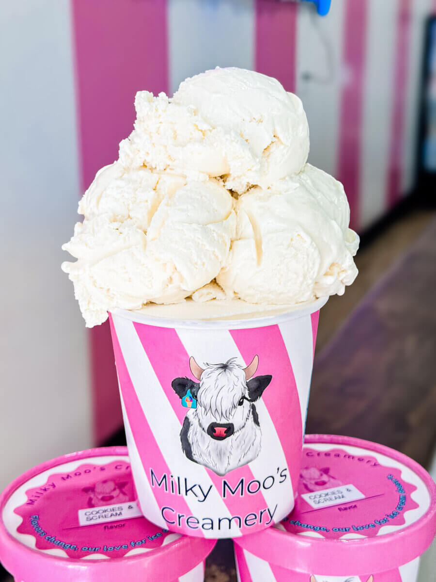 The Inside Scoop on Milky Moo's: Meet the Maker of Alabama's Best Ice Cream - 4 A large scoop of the best vanilla ice cream sits in a pink and white striped cup labeled "Milky Moo's Creamery" with a cartoon cow logo, serving up sweet Alabama charm.