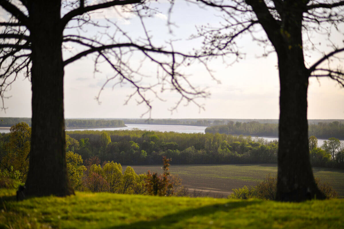 Two large trees frame a view of a river and a green landscape reminiscent of Kentucky, with fields and a forest stretching into the distance under a partly cloudy sky.
