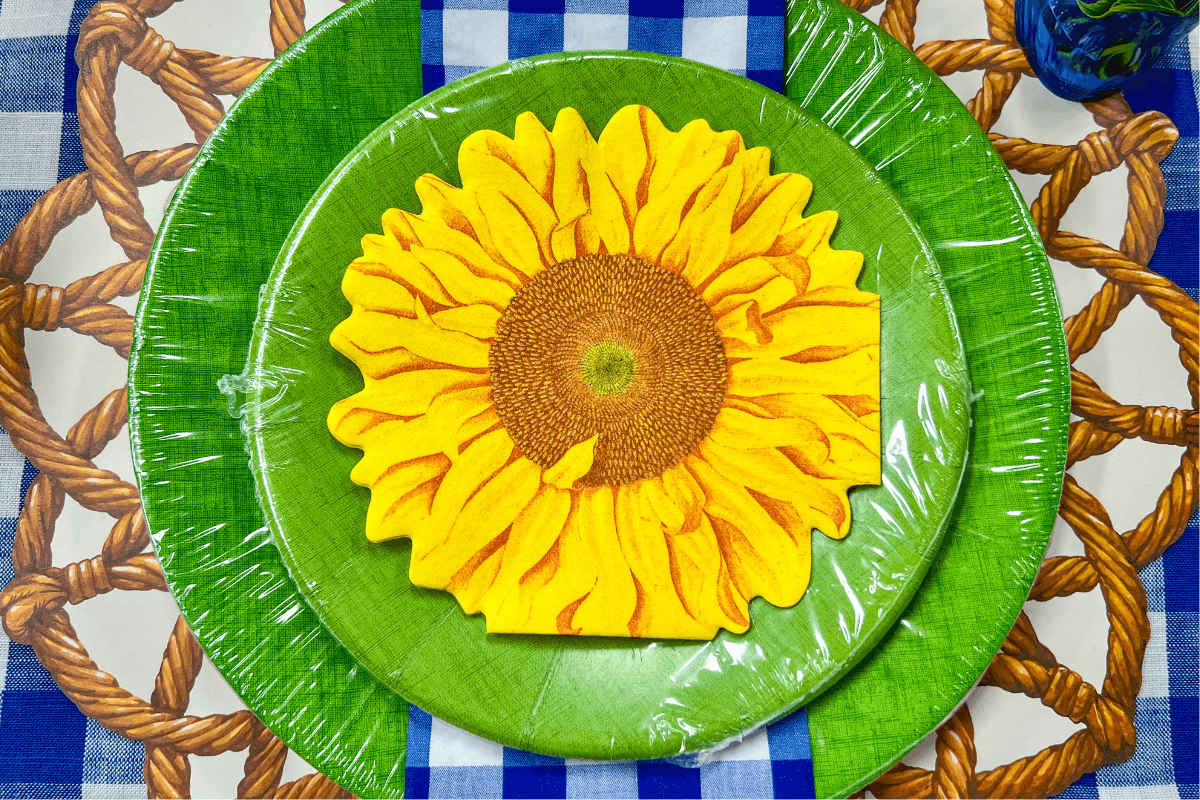 20 Memphis FINDS to See You Through the End of Summer - 3 A round green plate covered in plastic wrap with a sunflower-shaped item on top, placed on a blue and white checked tablecloth with a rope pattern.