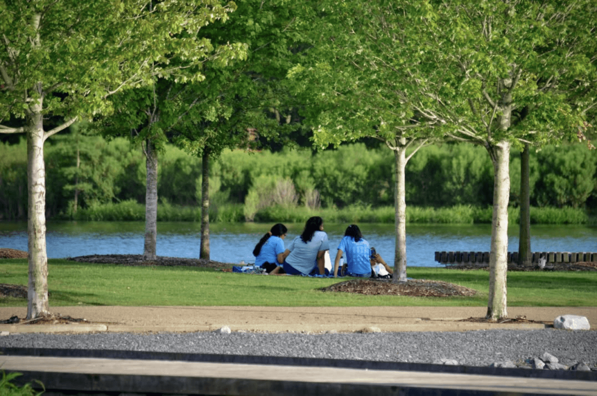 16 Free Things to Do in Memphis - 2 A group of people sit on the grass under trees near a river on a sunny day, with green foliage and water in the background.