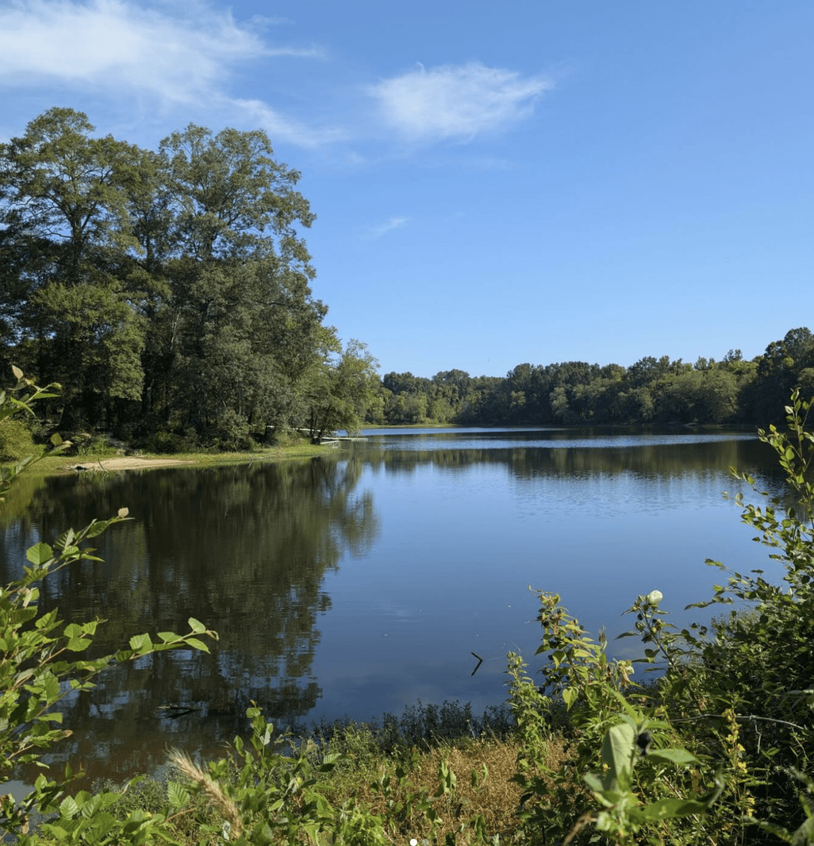 16 Free Things to Do in Memphis - 5 A calm lake surrounded by trees and greenery reflects the blue sky and clouds on a sunny day.