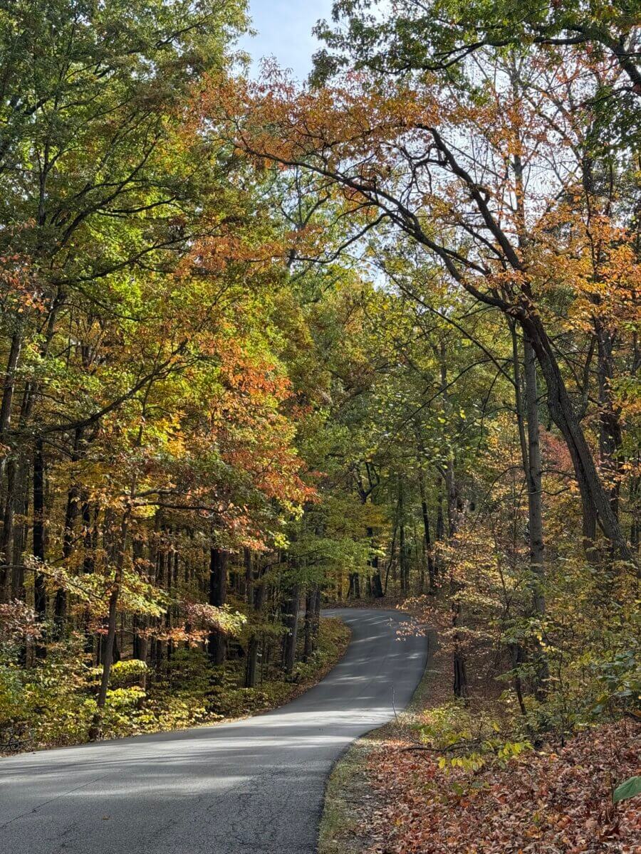 A paved road curves through a forest with trees showing early autumn colors under a partly cloudy sky, setting the perfect scene for your ultimate road trip along I-65.