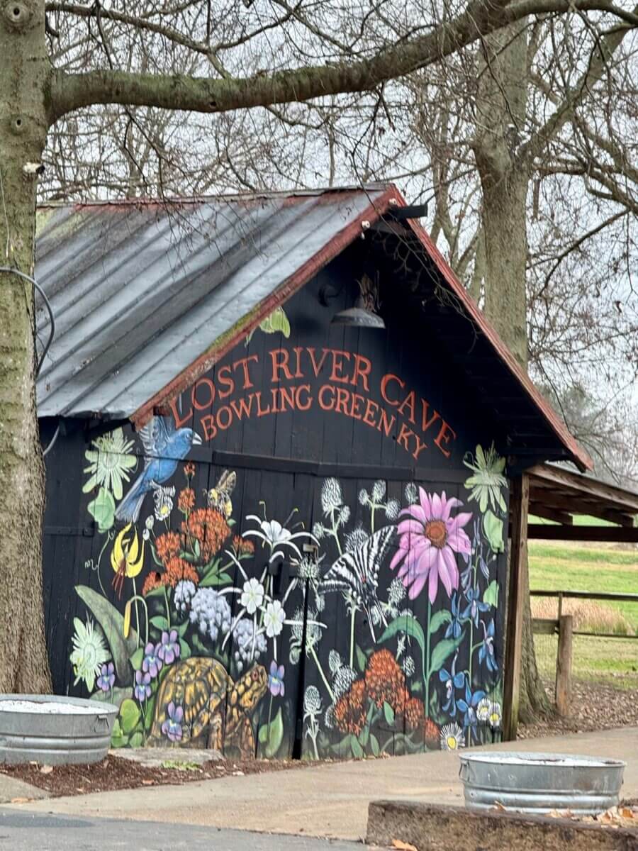 Small black shed with a mural of colorful flowers, birds, and insects; sign reads “Lost River Cave, Bowling Green, KY." Perfect roadside sight along I-65 for any travel guide or road trip adventure. Leafless trees and wooden fence in the background.