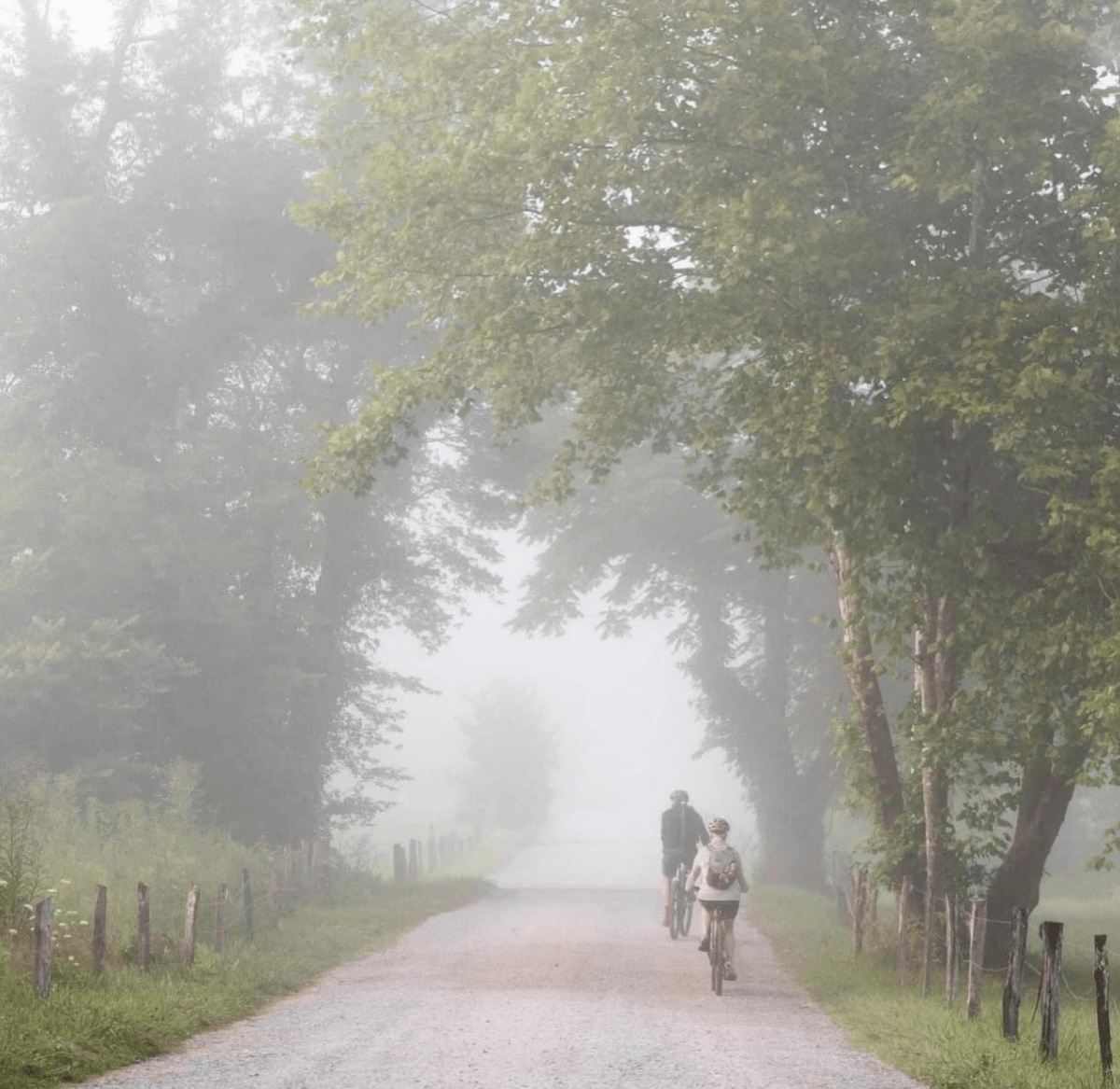 8 Easy Cool-Weather Escapes in the South & Beyond - 8 Two people travel by bicycle down a gravel path lined with trees on a foggy day, enjoying one of the Southβs classic cool-weather escapes.