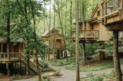 Cluster of wooden treehouses connected by walkways and stairs in a lush, green forest setting.