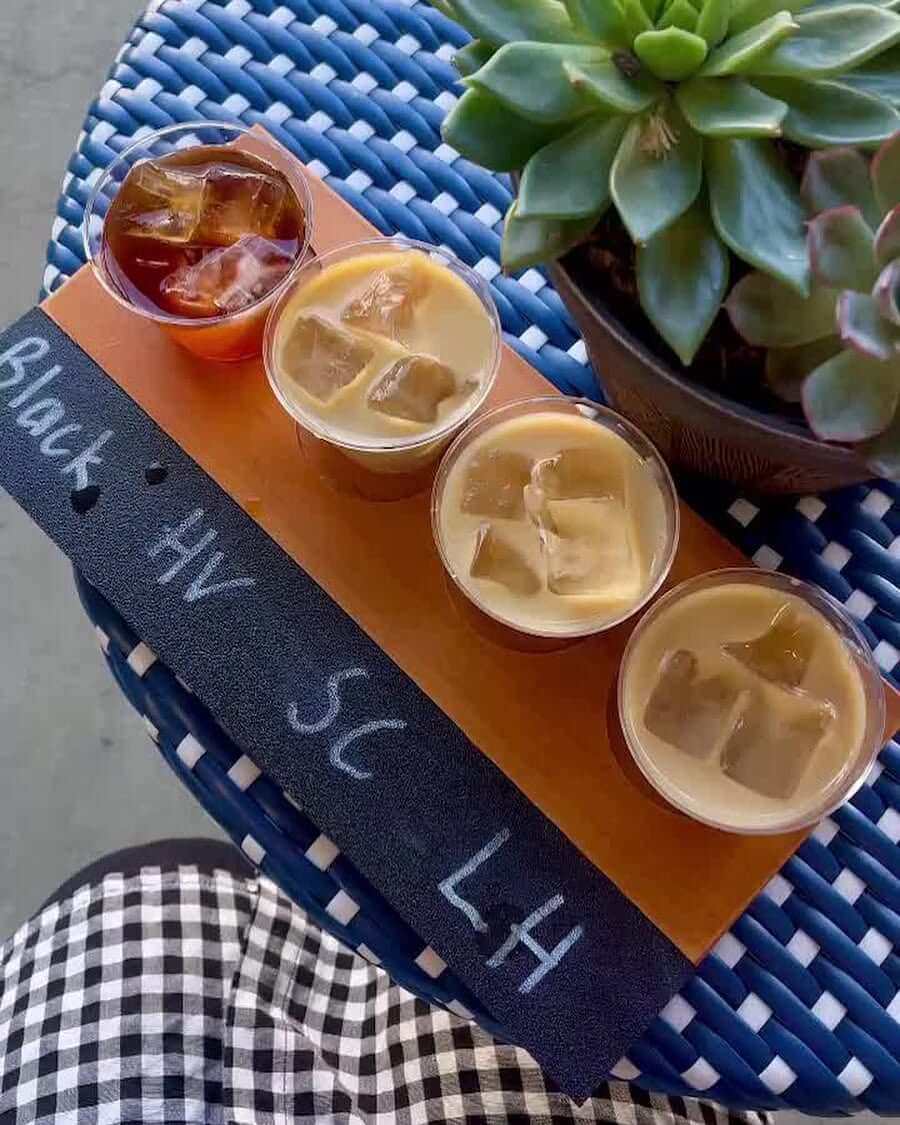 Four iced coffee samples on a wooden tray labeled Black, HV, SC, LH, next to a succulent plant on a blue table—a perfect snapshot of the craft beverage scene found in Nashville restaurants.