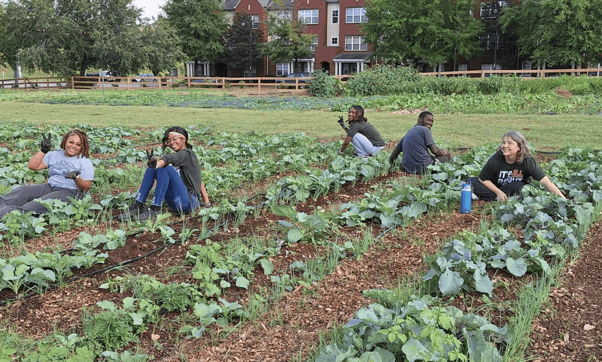 Five people sit and work in rows of a community vegetable garden with leafy green plants, surrounded by trees and apartment buildings in the background.
