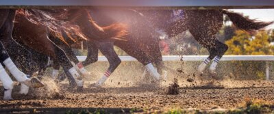 Close-up view of horses’ legs and hooves kicking up dirt as they run on a racetrack in Lexington, the Horse Capital, with sunlight shining from above—perfect for discovering the thrill of equestrian sport.