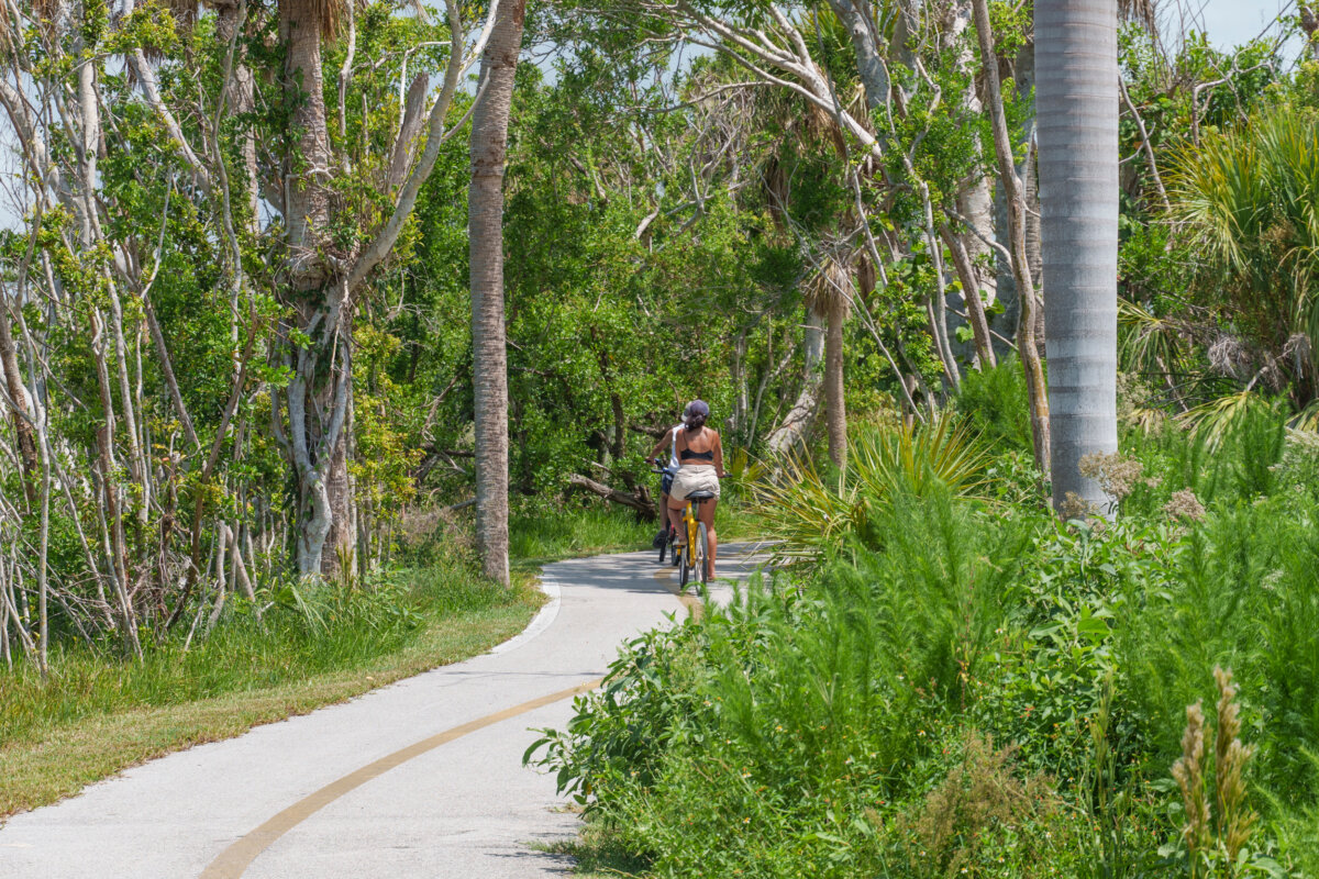 Beyond the Beach: A Weekend Exploring Fort Myers, Sanibel & Captiva - 6 Two people ride bikes on a winding paved path through a lush, green forested area with tall trees and dense vegetation, much like the scenic trails found near Sanibel or Captiva.