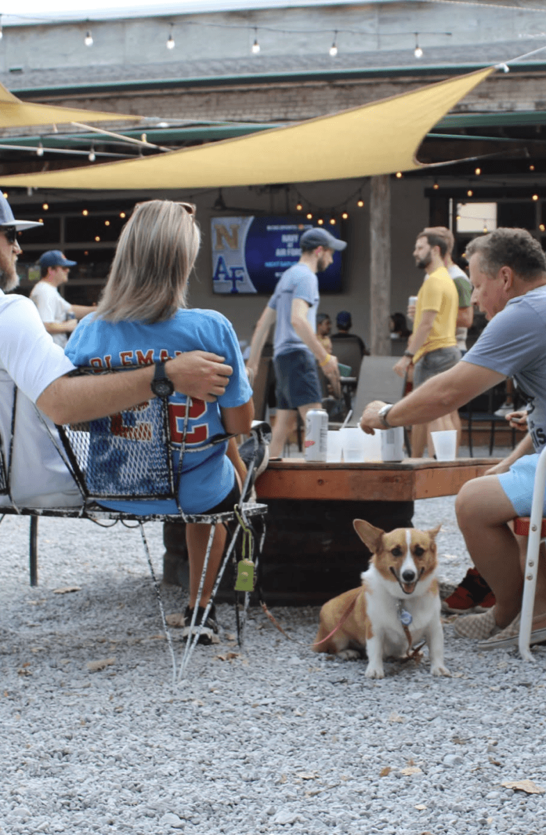 It's Playtime, Memphis! Here's Where to Get Your Game On - 5 People sit at a table outside with drinks and a corgi on a leash resting nearby; others walk in the background under string lights and shade sails.