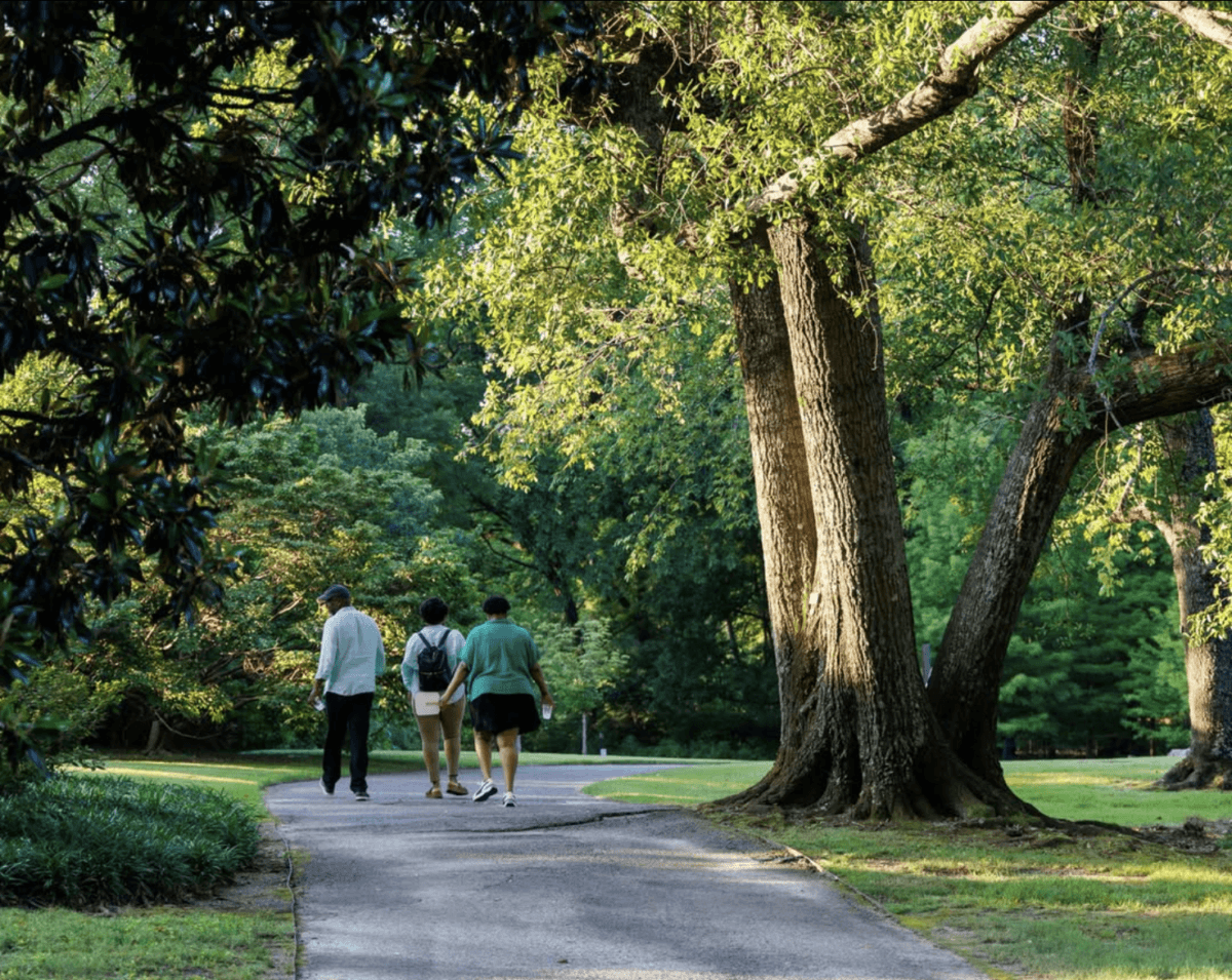 How to Meet New People in Memphis: 19 Cool Clubs for Grown-Ups - 7 Three people walk together on a paved path through a green, tree-filled park on a sunny day.