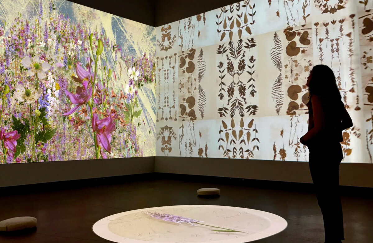 Robin Vuchnich: In Search of Thoreau’s Flowers —  The Memory of a Season