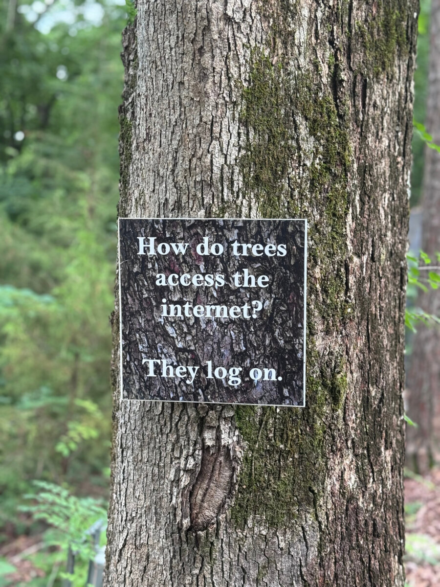 A tree in the woods boasts a sign that has a forest-related joke.
