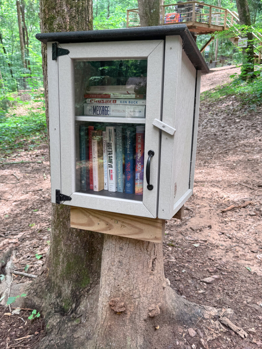 A little free library in the woods.