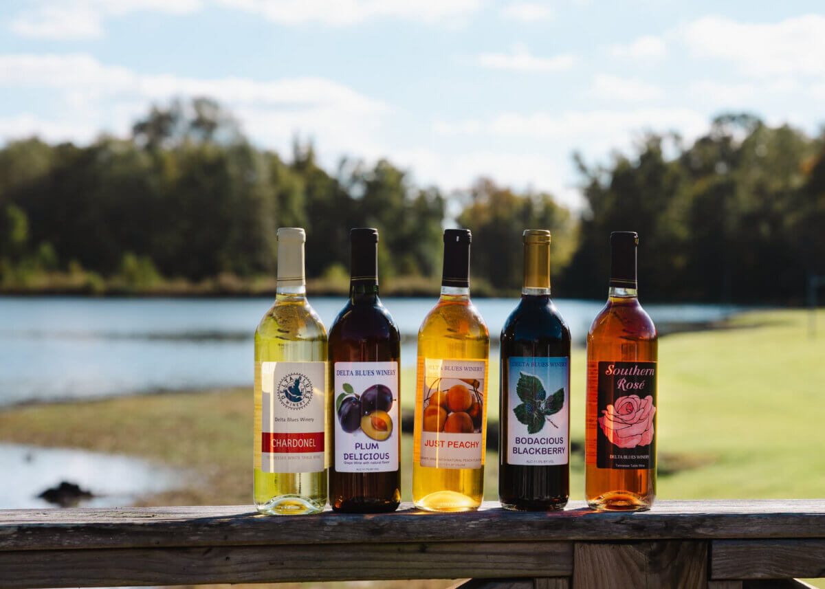 Five bottles of fruit wine, representing the essence of Southern Spirits, are lined up on a wooden railing outdoors, with a lake, green grass, and trees in the background on a sunny day—an invitation to raise a glass at one of your favorite stops.