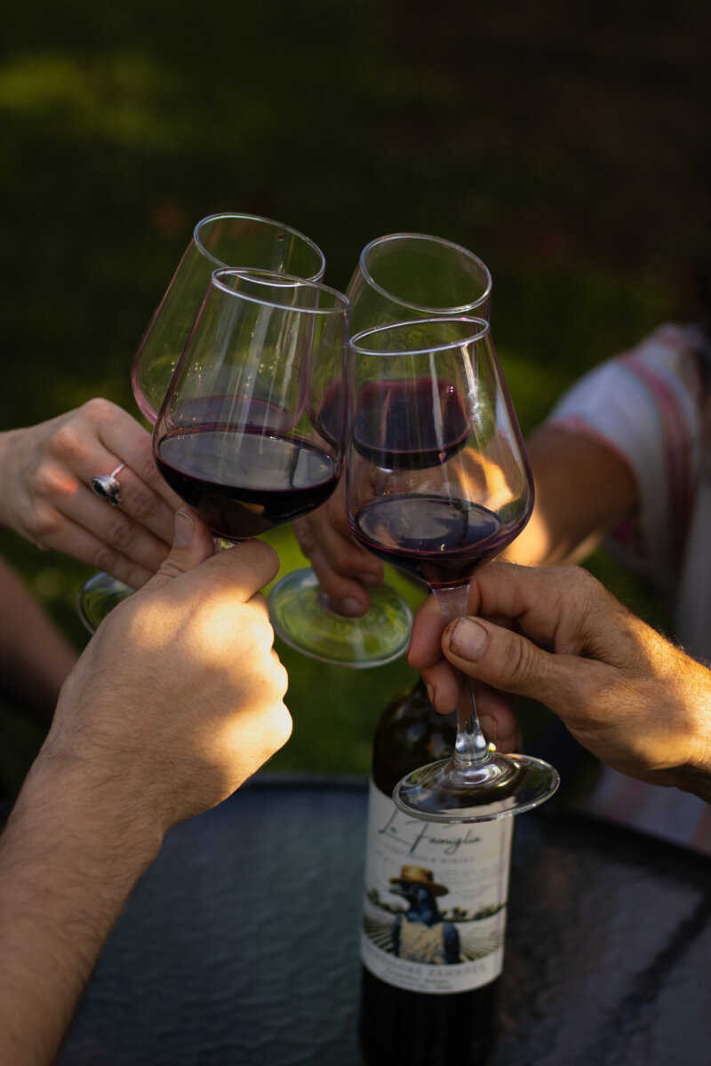 Four people toast with their wine glasses.