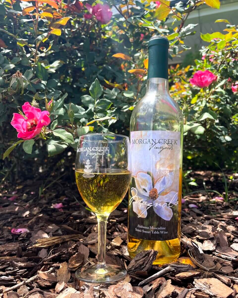 A glass and bottle of Morgan Creek muscadine wine sit on mulch among blooming pink flowers and green leaves in sunlight, capturing the charm of wineries near Birmingham.