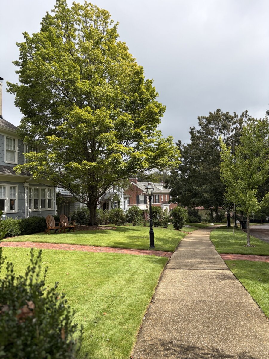 5 of Birmingham's Most Charming Walks - 6 A sidewalk curves past houses and green lawns with a large leafy tree and a pair of wooden chairs under partly cloudy skies, offering one of the most charming walks reminiscent of Birmingham walking trails.