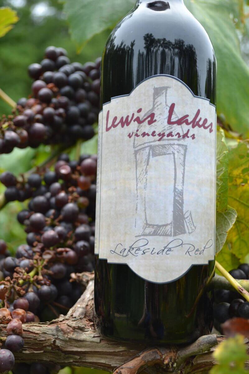 A bottle of Lewis Lake Vineyards Lakeside Red wine is placed among grape vines with clusters of ripe purple grapes in the background, showcasing the gorgeous scenery often found at wineries outside Birmingham.