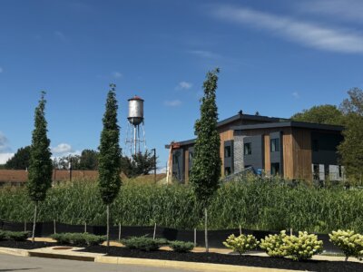 A modern building stands behind tall grass and young trees at The Commons, a vibrant gathering place in Lexington, with a silver water tower visible in the background under a blue sky with scattered clouds.