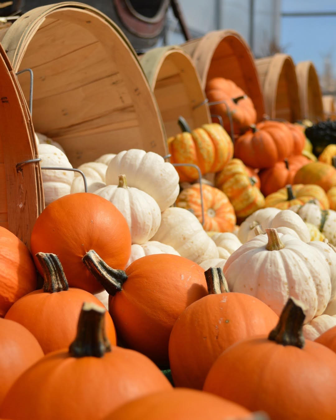 Assorted orange, white, and striped pumpkins are displayed in front of wooden baskets at an outdoor market or farm stand.