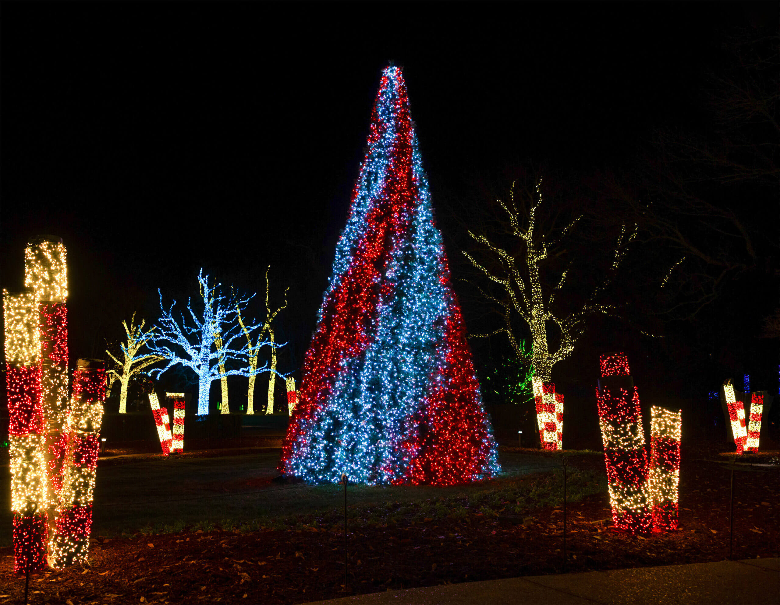 Holiday LIGHTS at Cheekwood