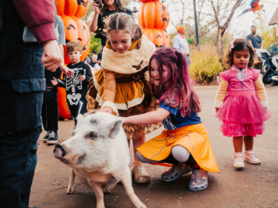 Children in costumes pet a pig outdoors during a fall or Halloween event with large pumpkin decorations in the background, capturing the festive spirit of Nashville October events.
