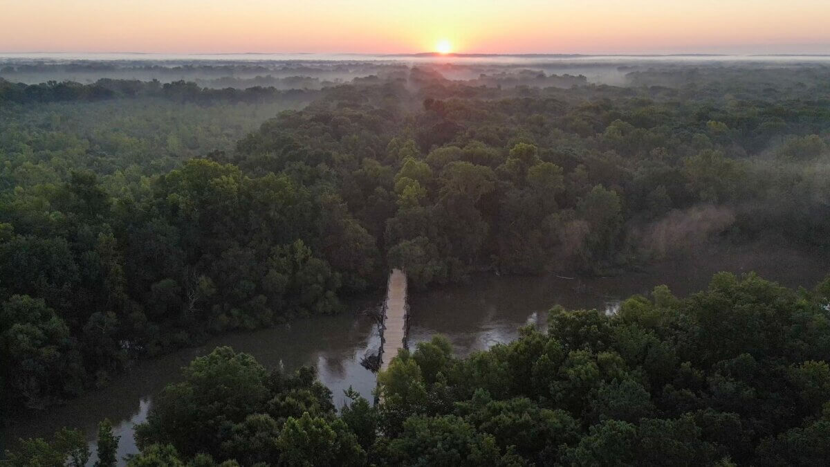 5 NEW Hikes to Explore Around the South - 5 A sunrise over a dense forest in South Carolina with a river running through it and a narrow bridge crossing the water along the Palmetto Trail, viewed from above.