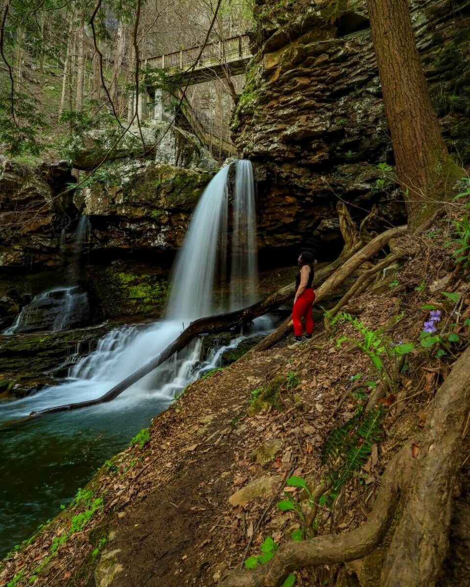 5 NEW Hikes to Explore Around the South - 6 A person in red pants stands on a forested slope near a waterfall along the River to Clouds Route.