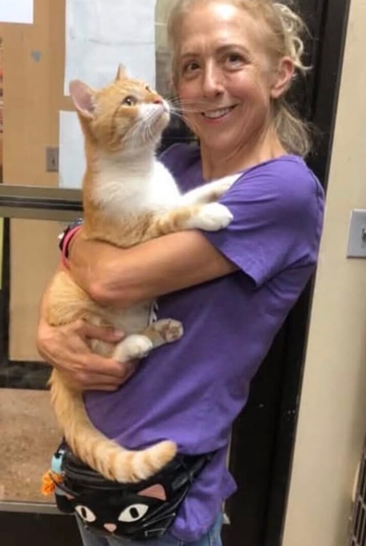 A woman in a purple shirt holds an orange and white cat. She has a cat-themed fanny pack and is standing indoors near a door and a cage, representing Molly Reed from Nashville Cat Rescue.