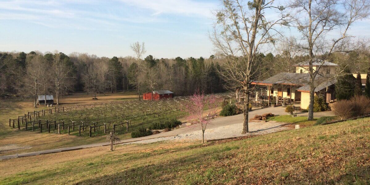 A gorgeous vineyard with rows of grapevines, a small red shed, and a rustic building surrounded by trees and a grassy slope under a clear sky—an idyllic scene reminiscent of the finest wineries near Birmingham.