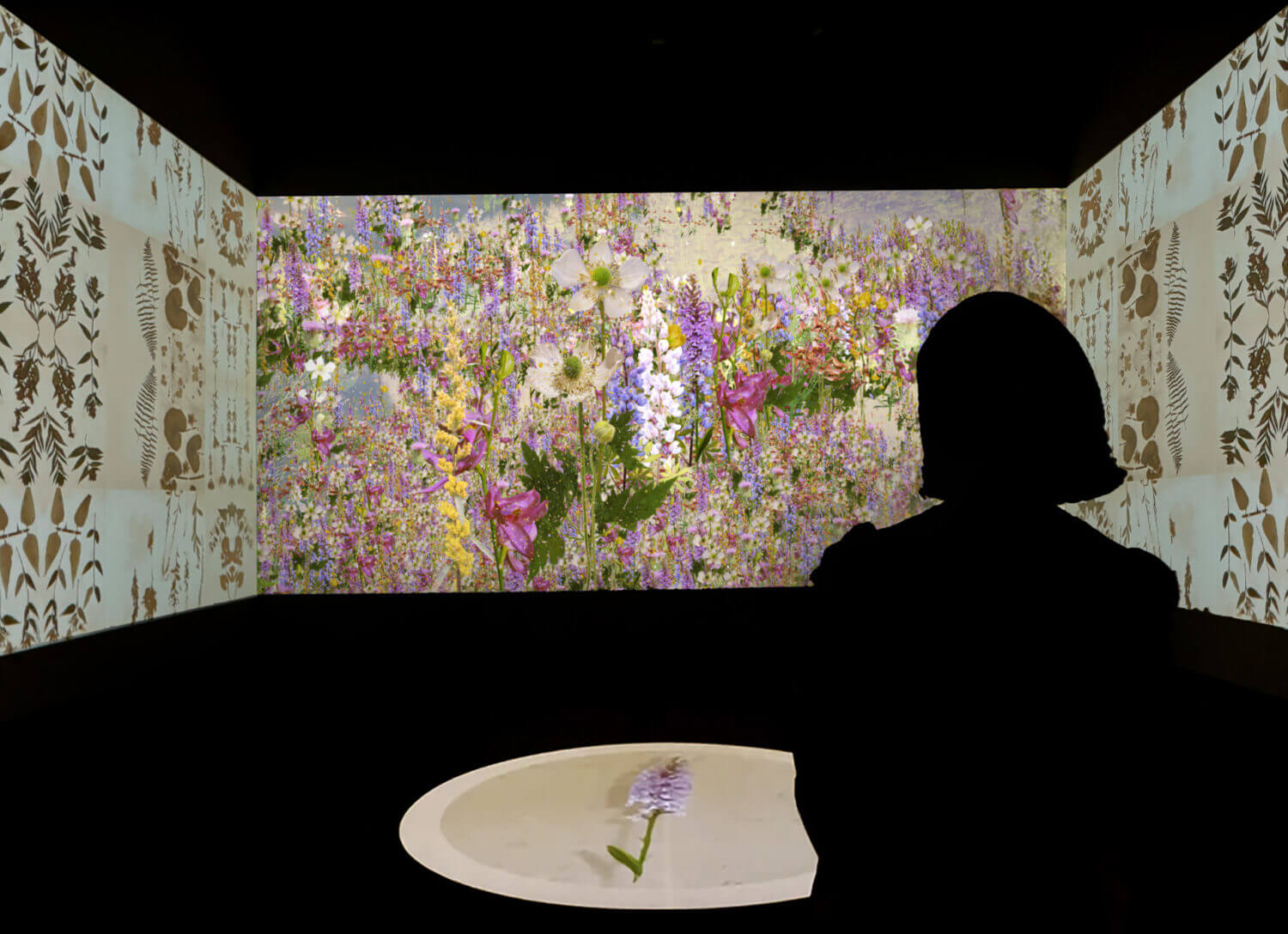 Conversation: In Search of Thoreau’s Flowers