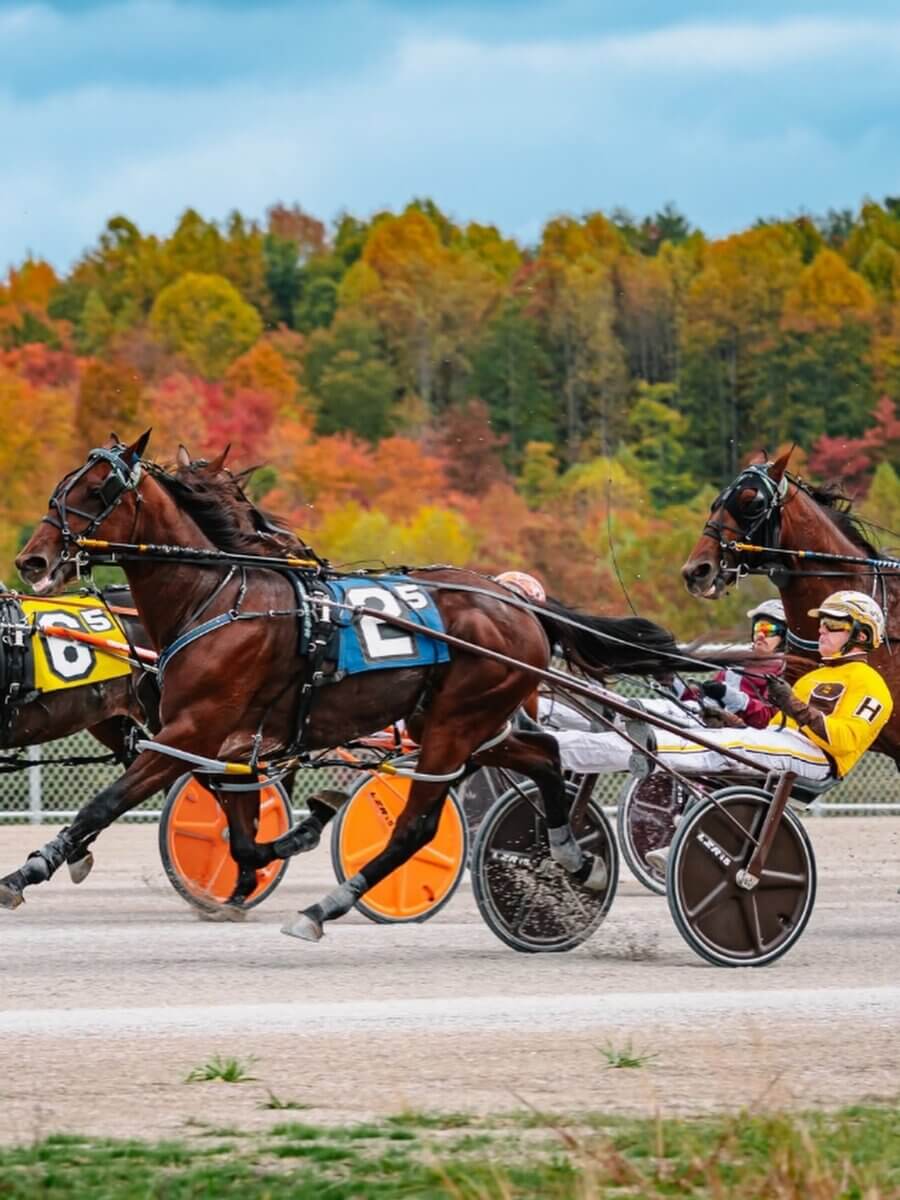 8 Lesser-Known Southern Horse Racing Venues to Know (and When to Go!) - 3 Harness race horses pull drivers in sulkies on a dirt horse racing track against a backdrop of autumn trees.