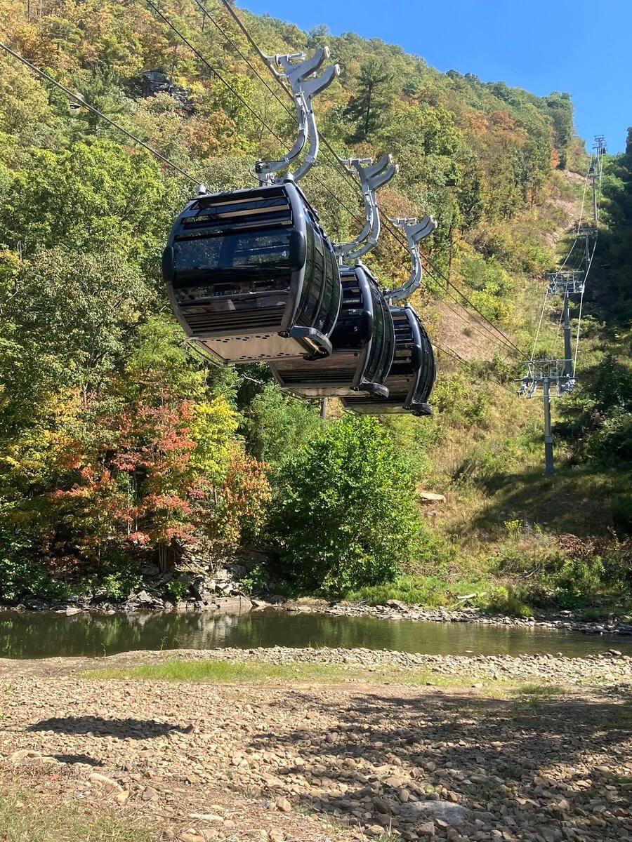 Gondola cars on a cable line moving over a river and forested hillside near one of the best state park lodges.