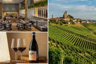 From Grape to Grandeur: A Nebbiolo Story
