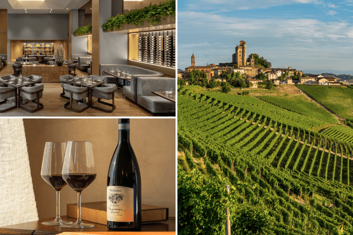 From Grape to Grandeur: A Nebbiolo Story