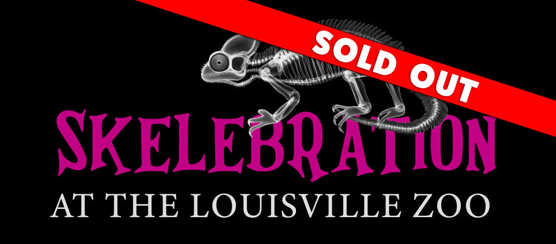 Skelebration